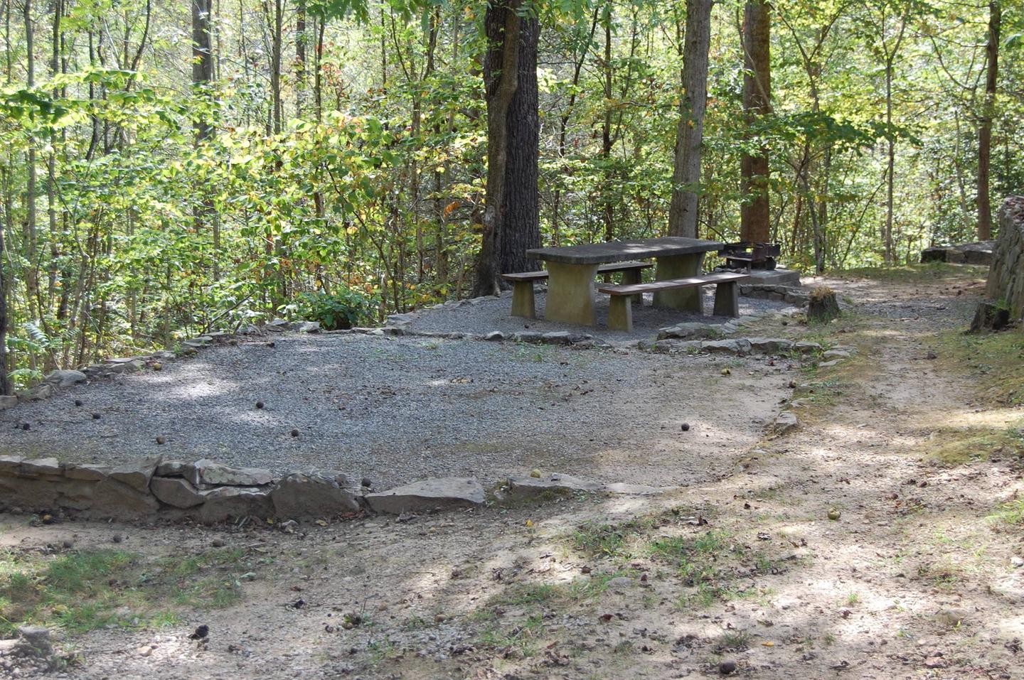 site 4Shaded tent pad and picnic area