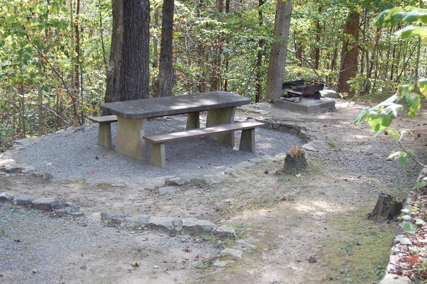 Picnic table Shaded picnic table 