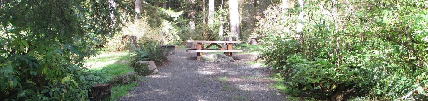 Shannon Creek CampgroundSite 2