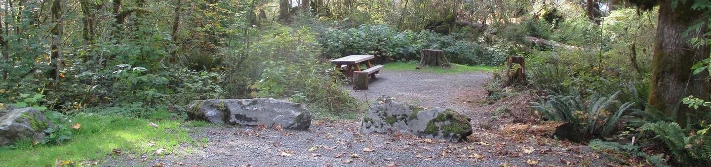 Shannon Creek CampgroundSite 8