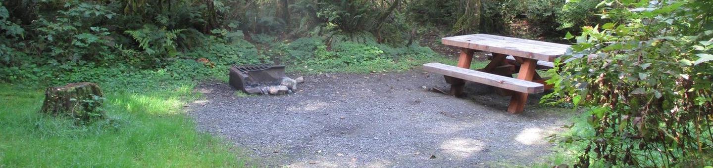 Shannon Creek CampgroundSite 11