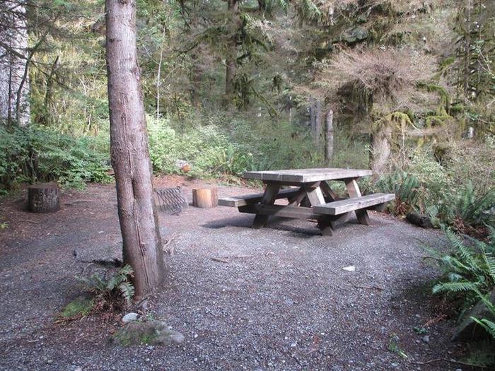 Shannon Creek CampgroundSite 14