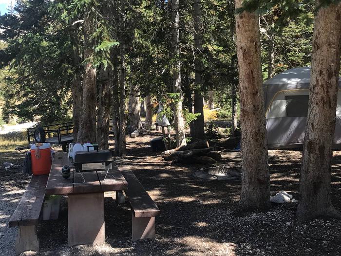 12 Mile Flat Campground Site #9