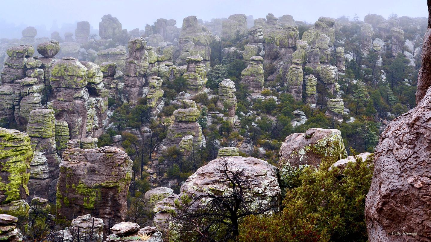 Just One of The Stunning Features of Chiricahua National Monument