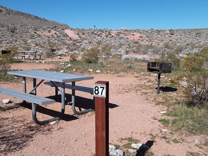 Site 87 walk to site- parking 100 ft No Shade Structure or Fire pitSmall tent site with  a  bbq grill and a picnic  table
Hike in from parking lot number 87
walk-to with parking 100 ft No Shade Structure or Fire pit