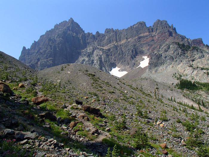 Mt. Jefferson - Jack Lake Trailhead (canyon Creek Meadows), Central 