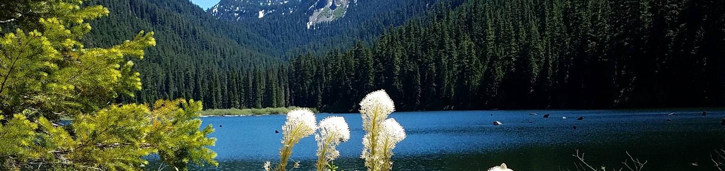 Pamelia Lake, Mt Jefferson Wilderness, PCT, Grizzly Peak, Milk Creek, Hunt's Cove, Shale Lake, Hunt's Creek, Hank Lake, Coyote LakePamelia Lake