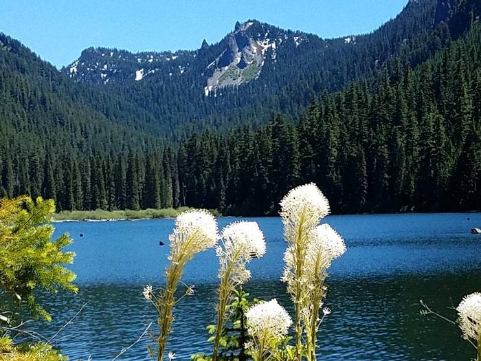 Pamelia Lake, Mt Jefferson Wilderness, PCT, Grizzly Peak, Milk Creek, Hunt's Cove, Shale Lake, Hunt's Creek, Hank Lake, Coyote LakePamelia Lake