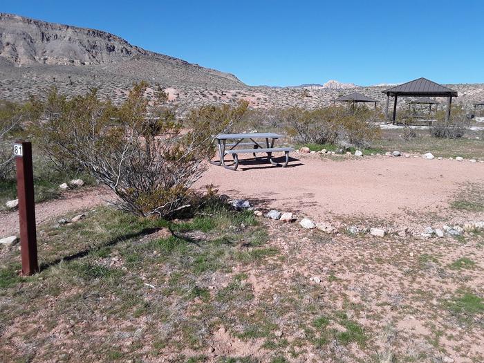 Site 81-walk to with No shade shelter - parking 100 ftTent site with a grill and a table
you hike into site from parking lot with same number parking 100 ft