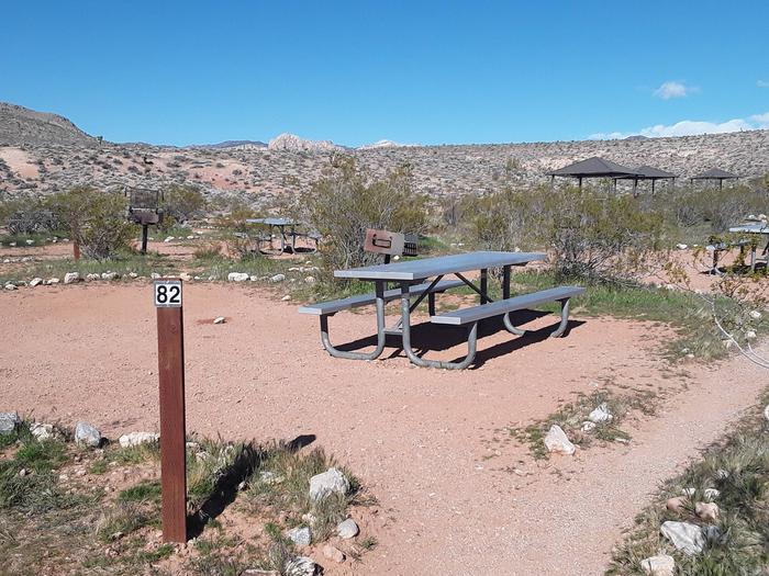 Site 82 walk-to with parking 100 ft No Shade Structure or Fire pitsmall tent site with a bbq grill and a picnic table
hike in from parking numbered 82which is 100 feet away
 No Shade Structure or Fire pit