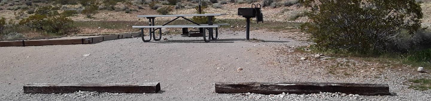 Red Rock Canyon Campground Standard Site 46Standard site with a large tent pad a fire pit and a bbq grill and a picnic table
parking is along the Road.