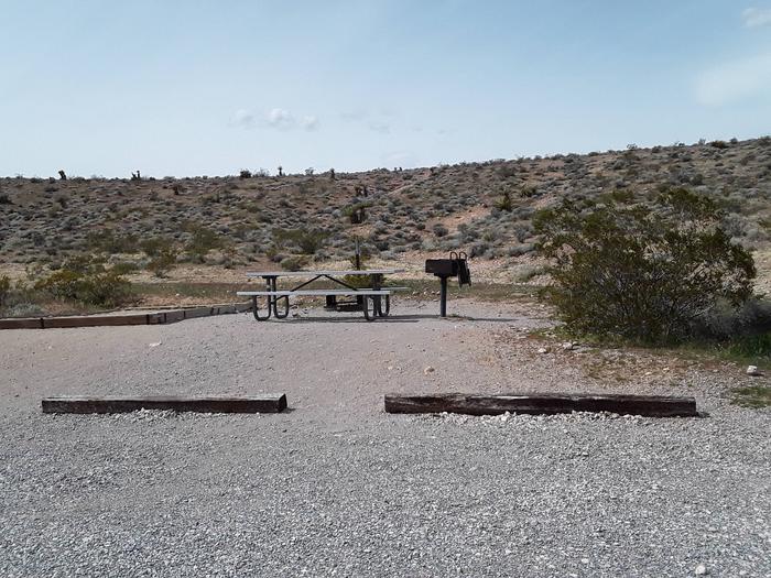 Red Rock Canyon Campground Standard Site 46 No shade Structure- Parallel parkingStandard site 46 with a large tent pad a fire pit and a bbq grill and a picnic table
parking is parallel to campsite. There is no shade structure at this site.