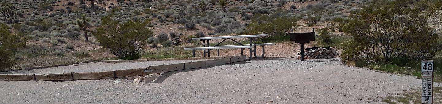 Red Rock Canyon Campground Standard Site 48Red Rock Canyon Campground Standard Site which includes a large tent pad filled with sand and a large fire pit. This site also has a bbq grill and a picnic table. Parking is along the road and enough room for the two vehicles allowed