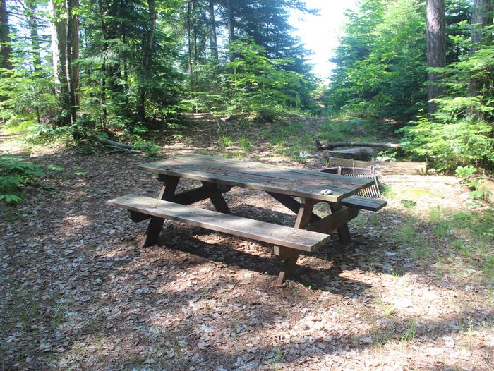 Michigan site 1 with picnic table and fire ringMichigan site 1