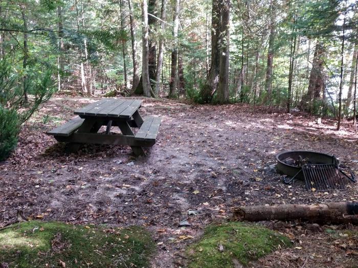 Rocky site 5 with picnic table and fire ringRocky site 5