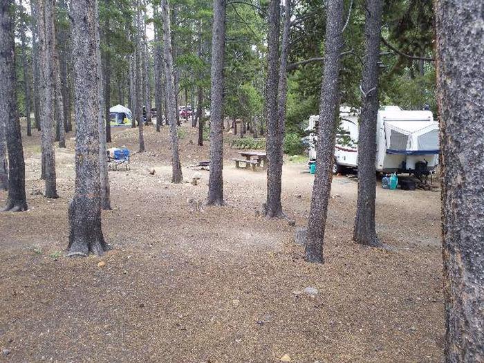 Baby Doe Campground, Site 5
