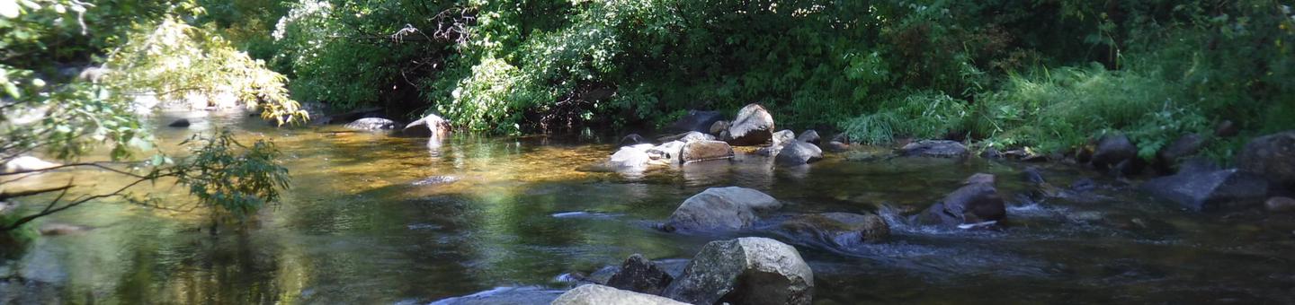 North Fork of the Yuba River