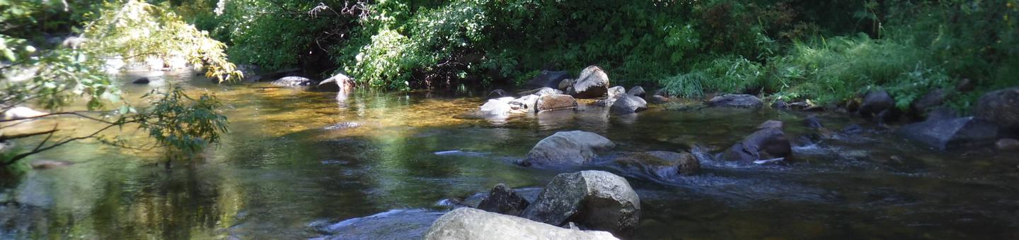 North Fork of the Yuba River