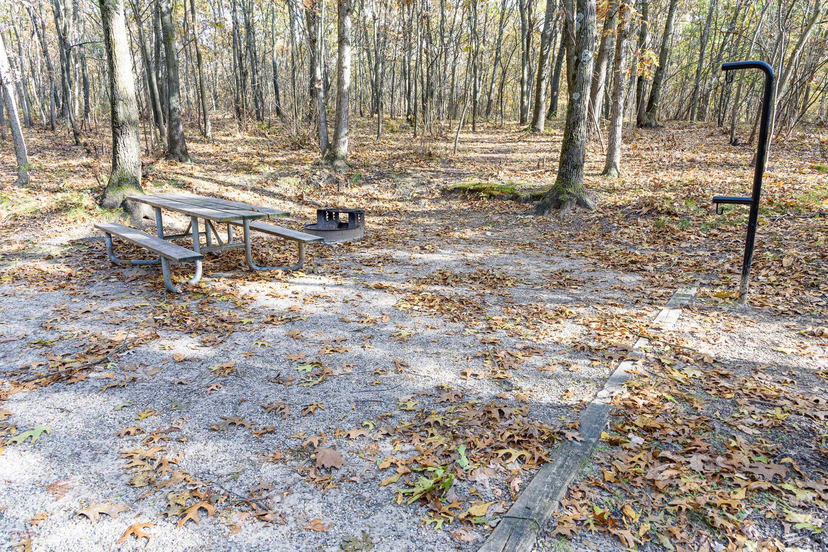 Site 65, Dunewood Campground - Recreation.gov