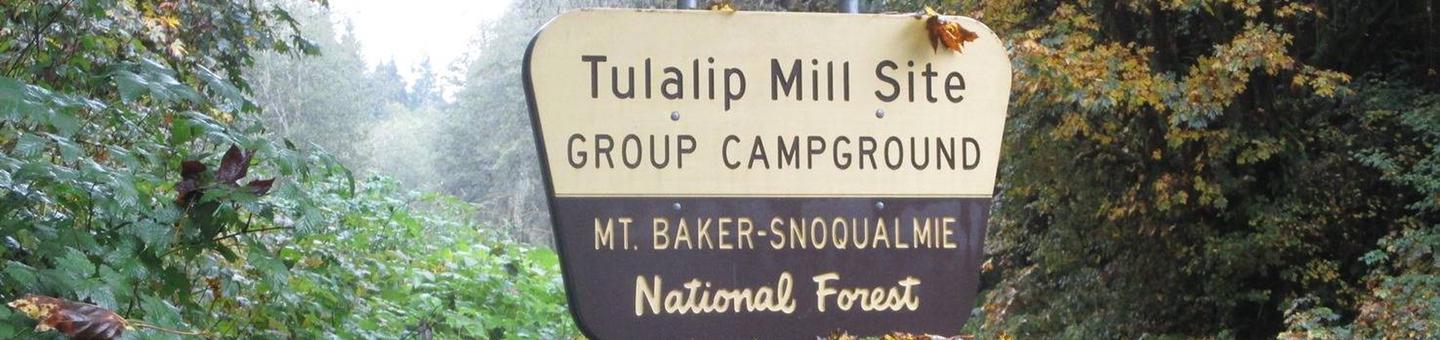 Tulalip Mill Group Site