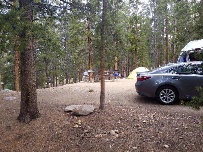 Baby Doe Campground, Site 22 table