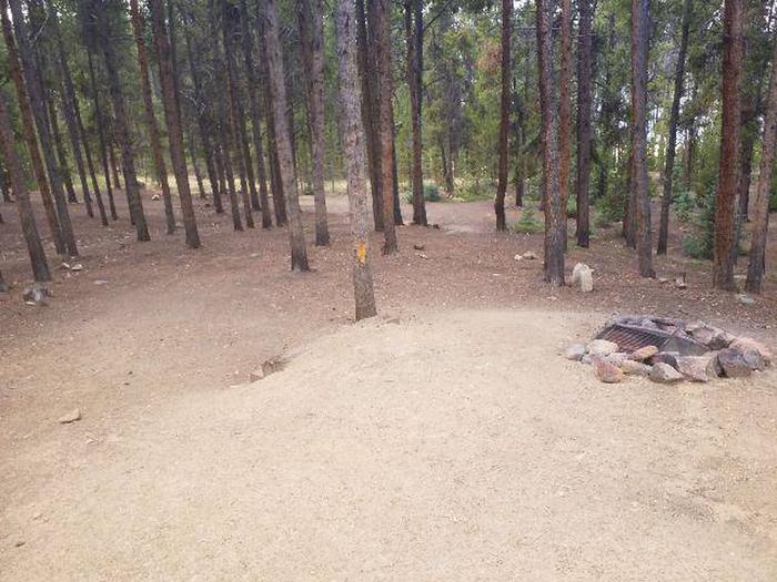 Baby Doe Campground, Site 31 fire ring