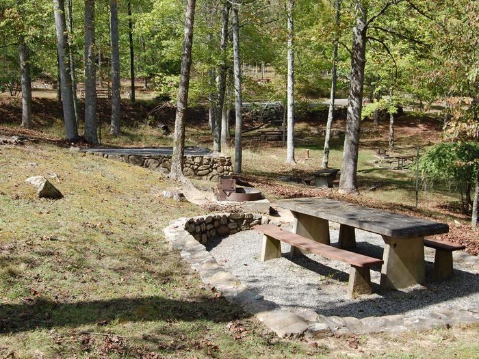 6Picnic area and tent pad, site 6