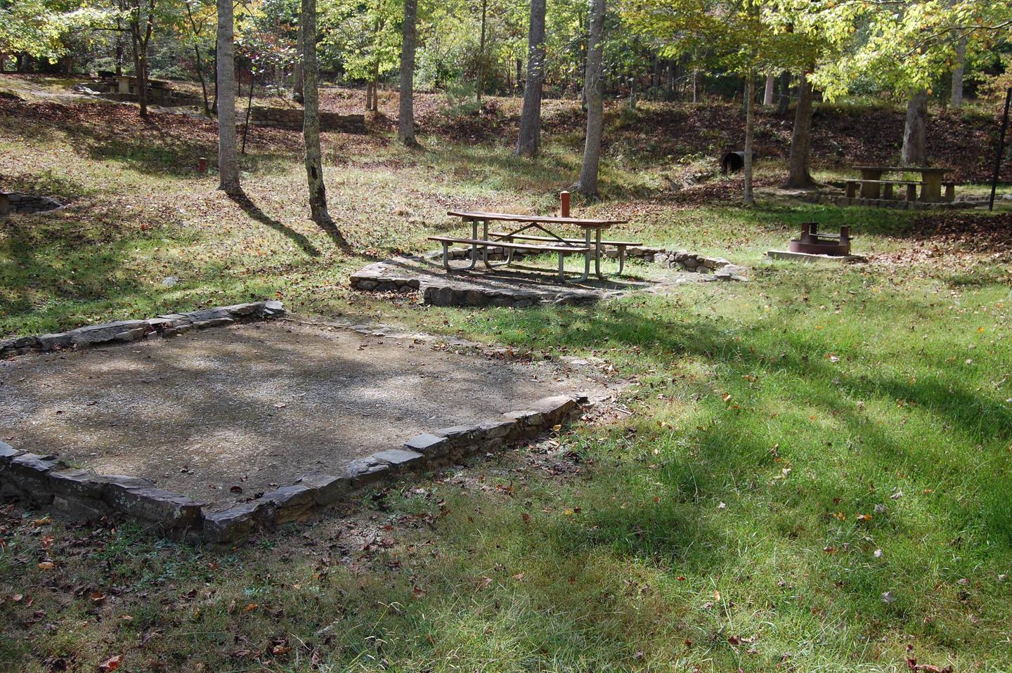 8Site is open and features plenty of sun and grass. It is located in the interior loop of the campsite. 