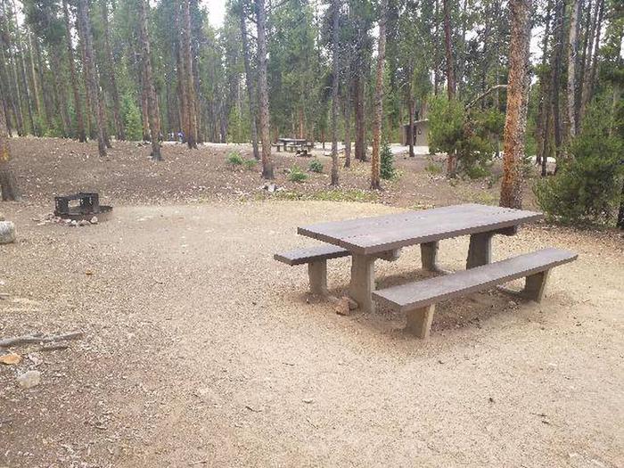 Baby Doe Campground, site 44 table and fire ring