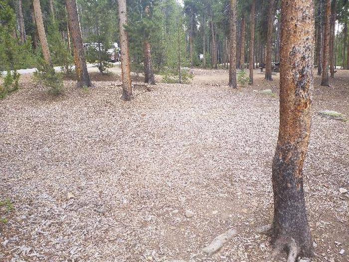 Baby Doe Campground, site 44 clearing