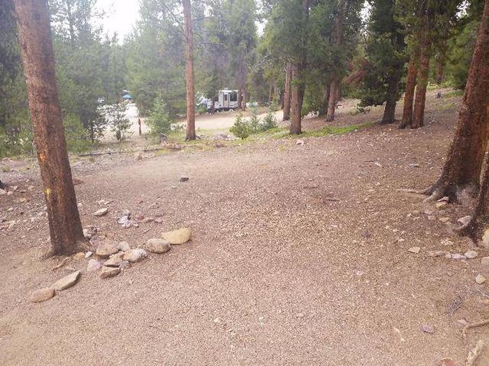 Baby Doe Campground, site 46 clearing 2