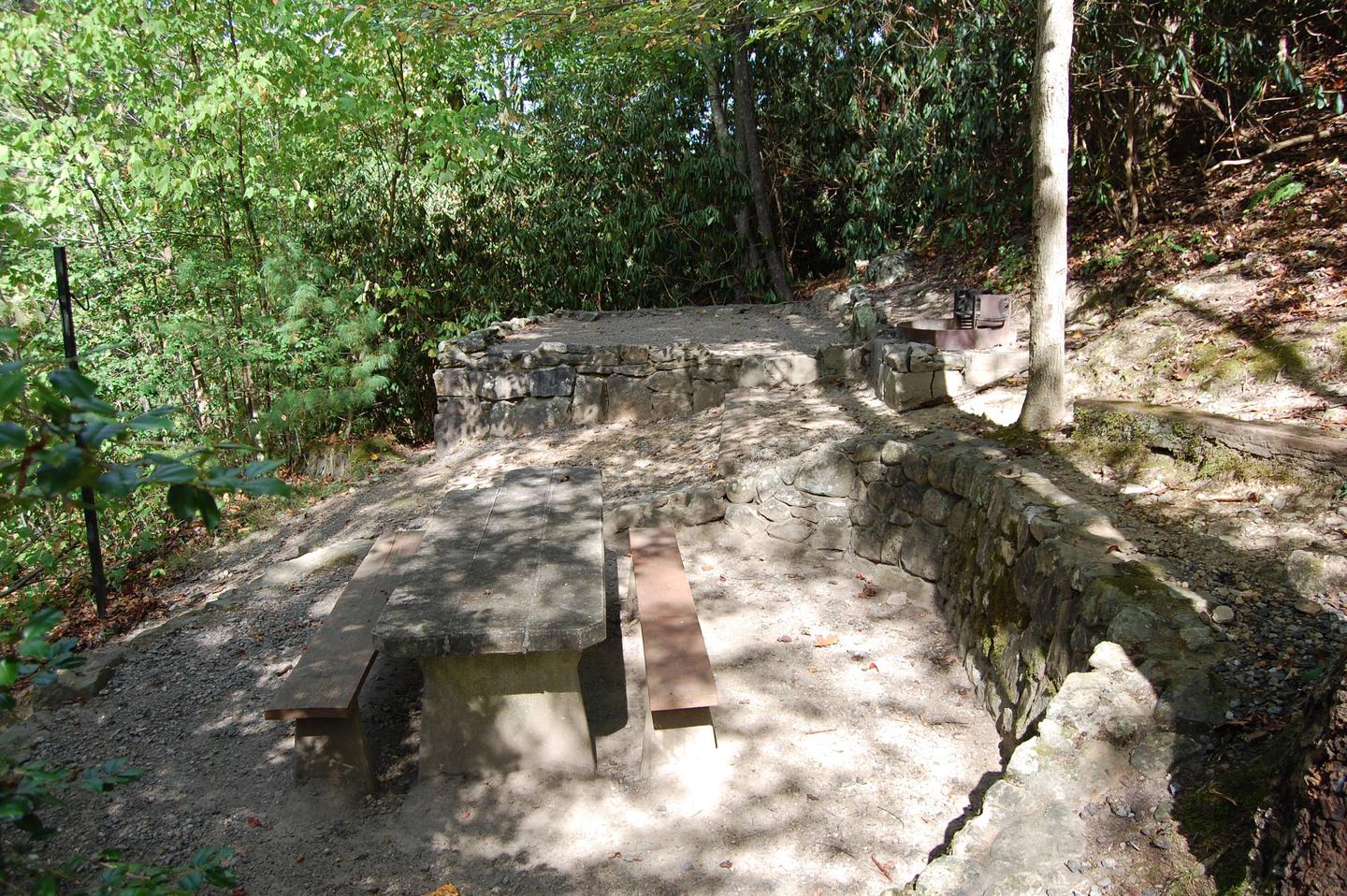 13 picnic Picnic table and tent pad in a shaded and wooded location 