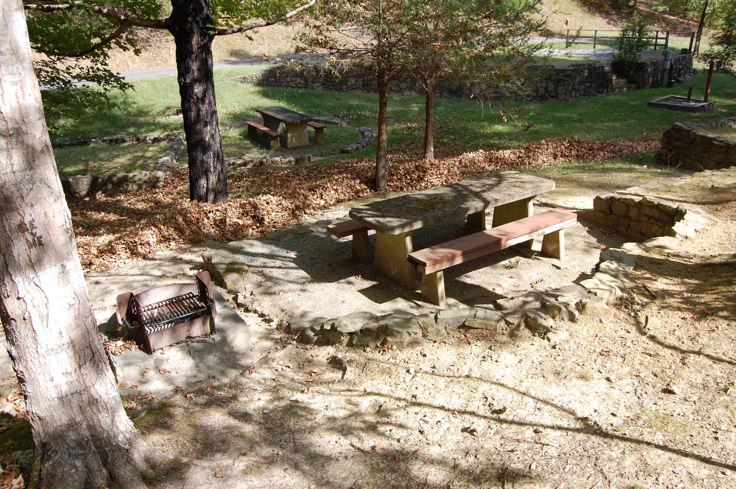 16 picnicSite sits in interior of camping loop, below parking area and is accessible with stairs. It has an open setting and is close to site 17, making both sites together ideal for a larger group. 