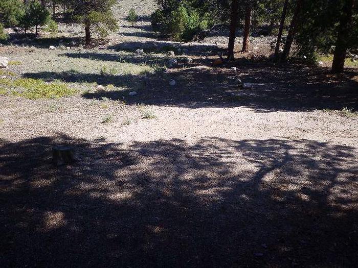 Lakeview Campground, Site A3 view
