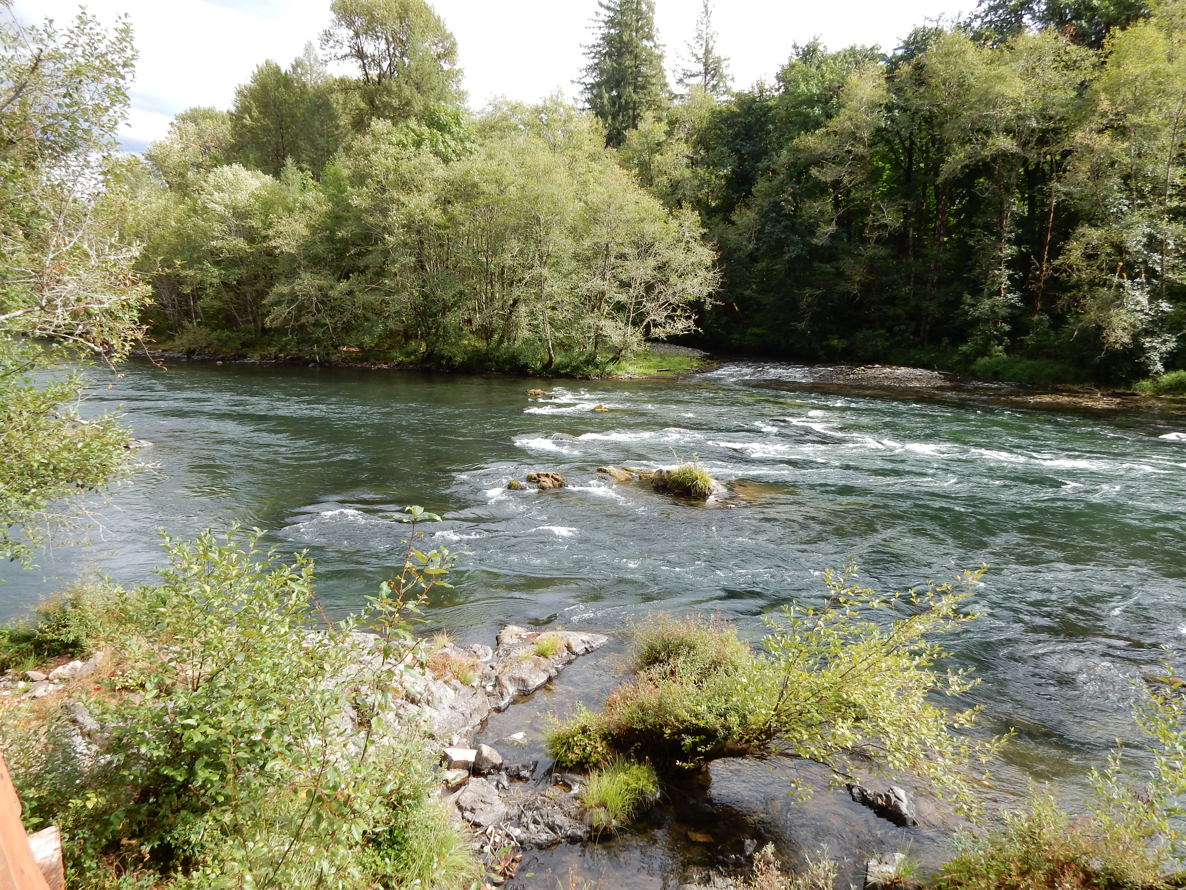 The McKenzie river in the summer.
