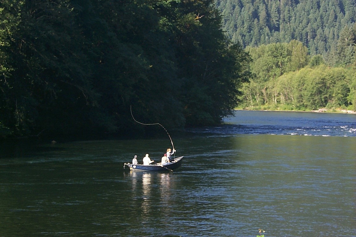 Fishing the McKenzie River from a drift boat