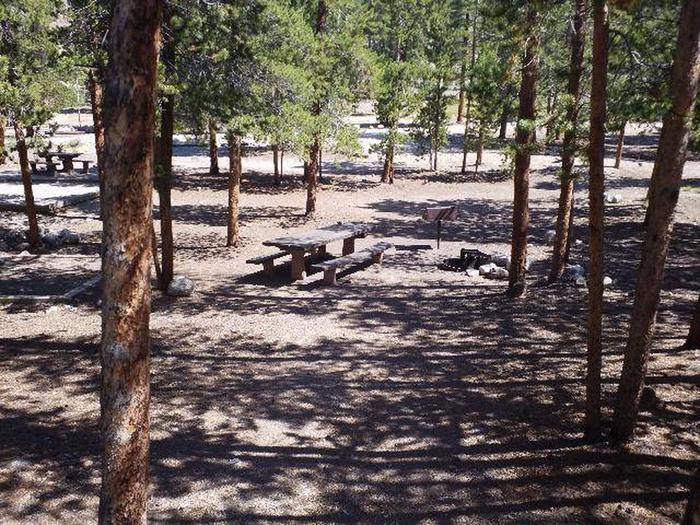 Lakeview Campground, site A14