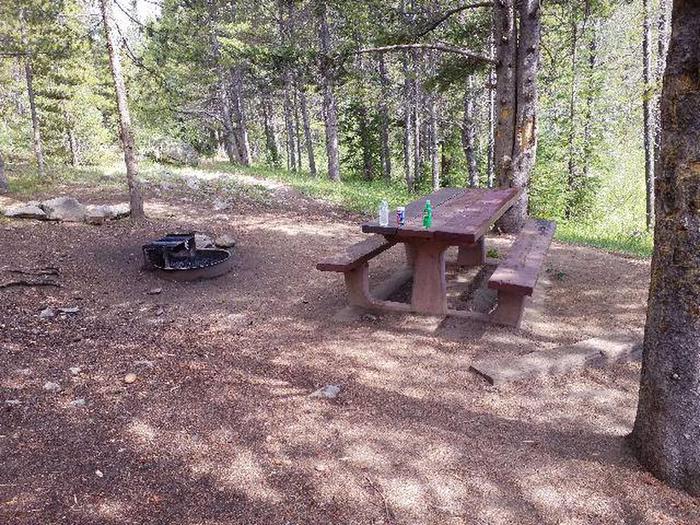 May Queen Campground, site 1 picnic table and fire ring