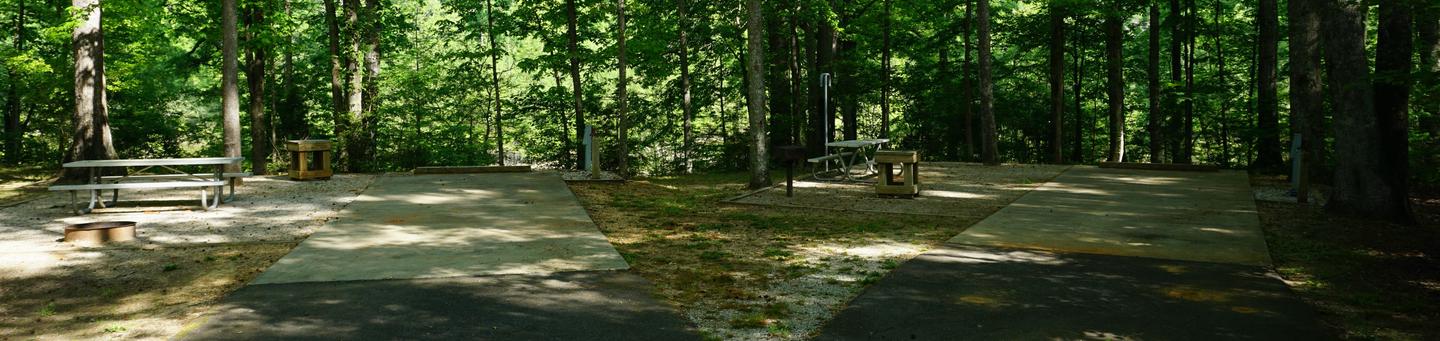 ForklandRoad view of campsites #31 & #32.