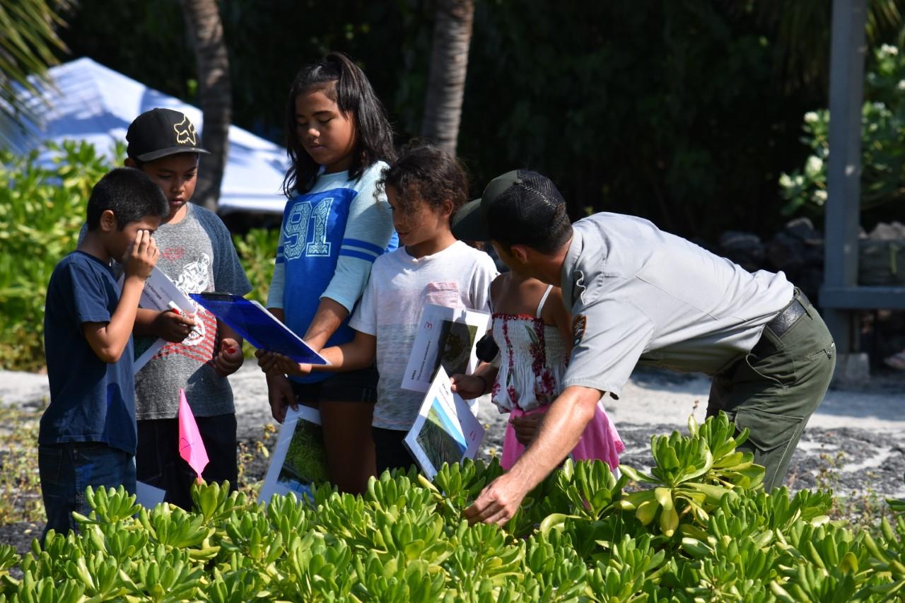 Plant activity for fourth graders at Park's Cultural Festival