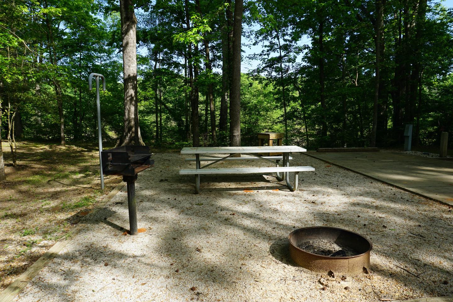 Forkland Site #31 impact area. Includes: fire ring, grill, and picnic table.