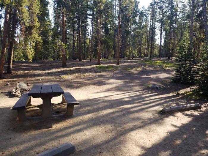 Molly Brown Campground, site 15 picnic table