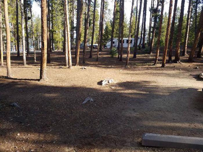 Molly Brown Campground, site 15 clearing