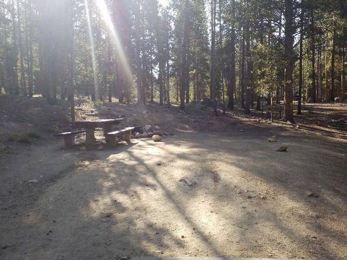 Molly Brown Campground, site 23 picnic table
