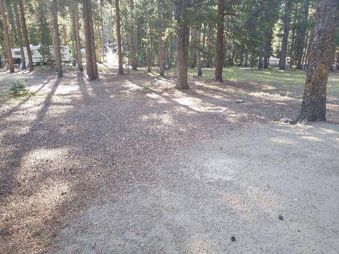 Molly Brown Campground, site 30 clearing