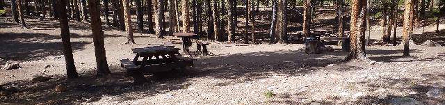 Printer Boy Group Campground, Site 1