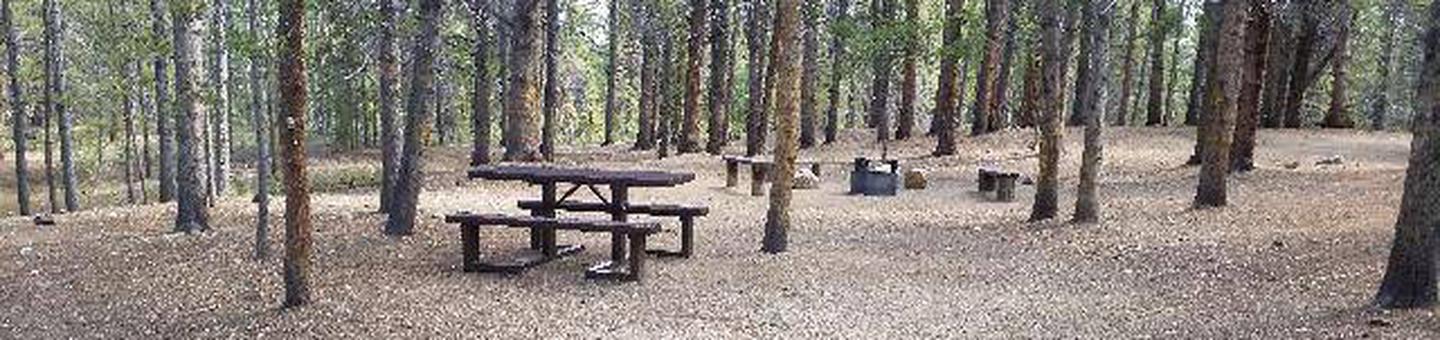 Printer Boy Group Campground, Site 3