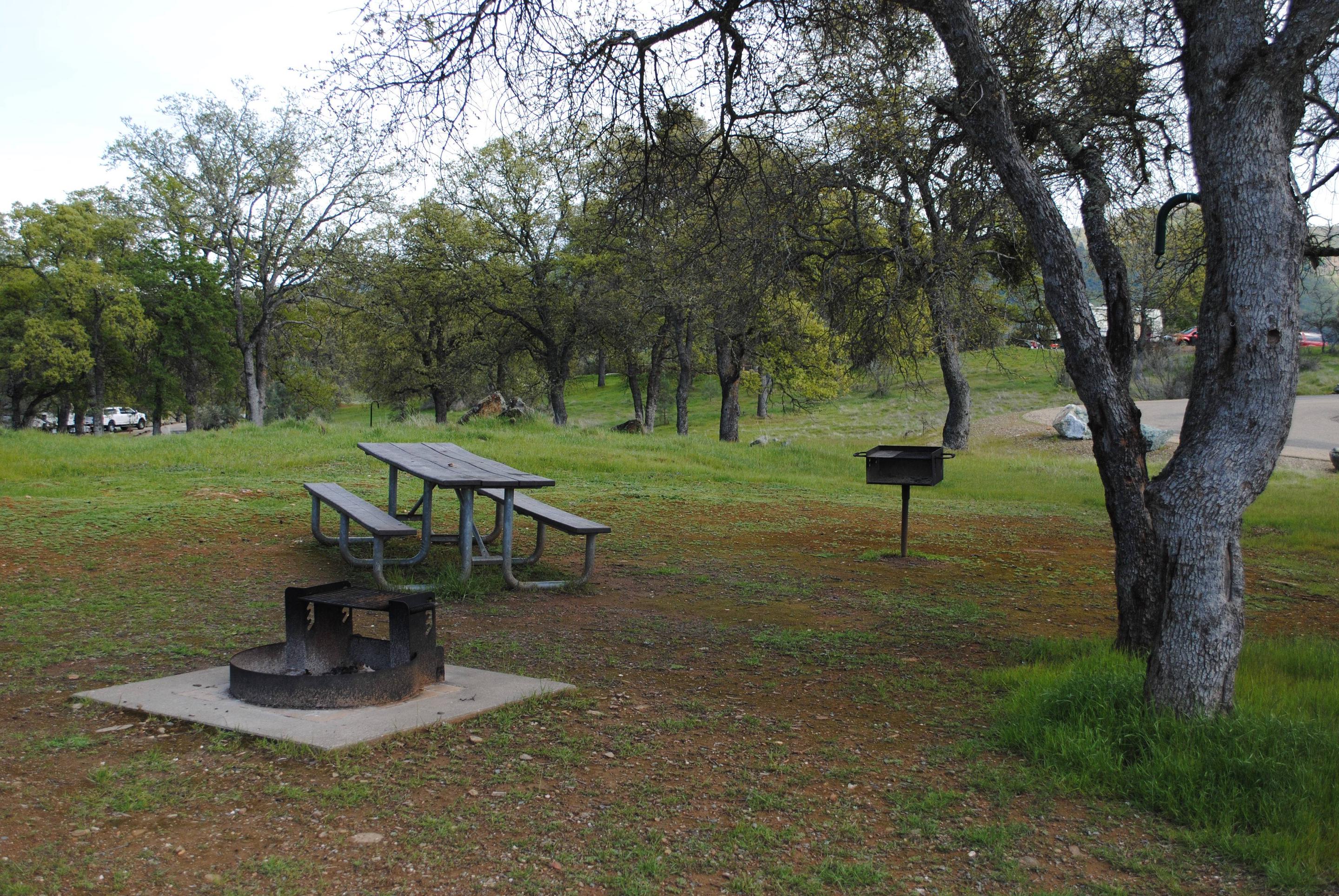 acorn campground reviews