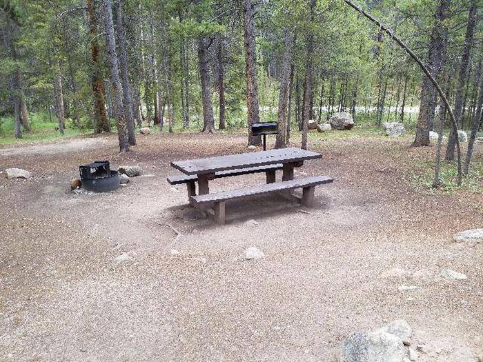 Silver Dollar Campground, site 1 picnic table, fire ring, and grill