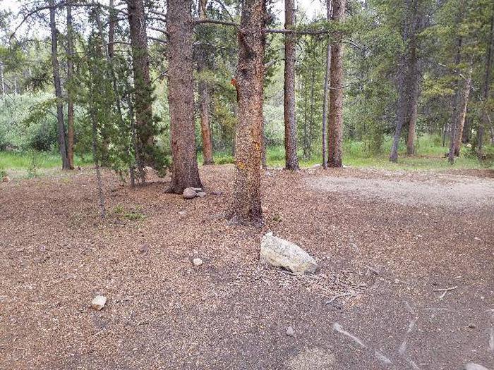 Silver Dollar Campground, site 1 clearing
